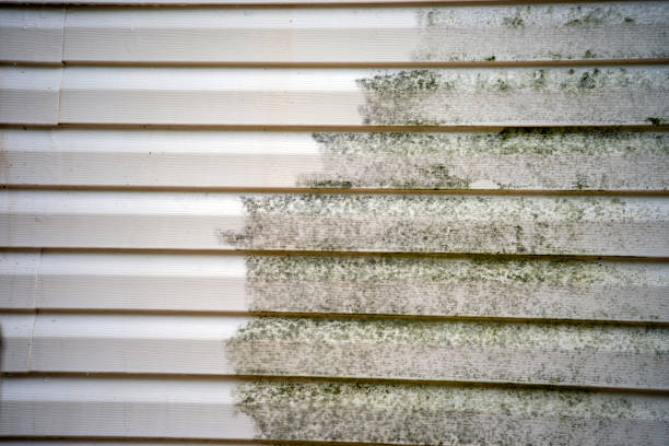 Best Fiber Cement Siding Installation  in Edwards Af, CA