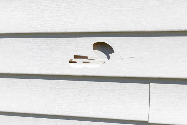 Best Steel Siding Installation  in Edwards Af, CA